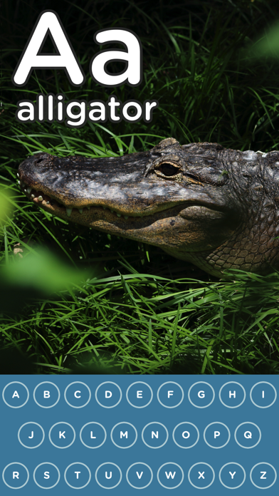 ABC Touch Lite app screenshot 1