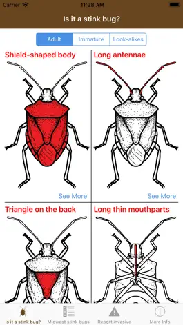 Game screenshot Midwest Stink Bug mod apk