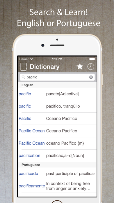 Portuguese English Dictionary. Screenshot