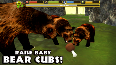 Screenshot #3 pour Wildlife Simulator: Bear