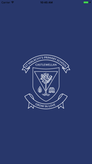 St Malachy's PS Castlewellan