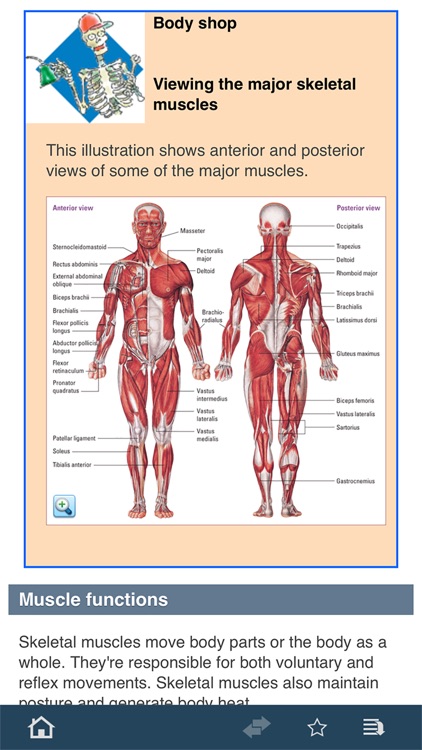 Anatomy & Physiology Made Easy