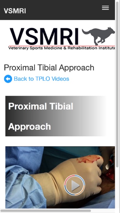 Vet Sports Medicine Rehab Inst screenshot 2