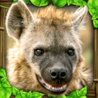 Top 20 Games Apps Like Hyena Simulator - Best Alternatives