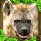 Enter into the savanna and live the life of a Hyena