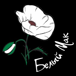 Белый мак | Пенза