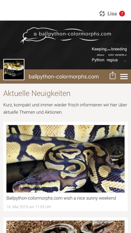 ballpython-colormorphs.com
