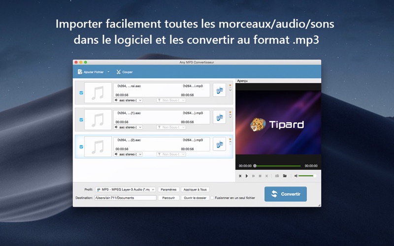 Screenshot #2 pour Any MP3 Convertisseur