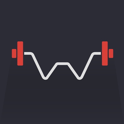 Weighter: Gym notes & progress icon