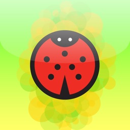 Ladybug Game