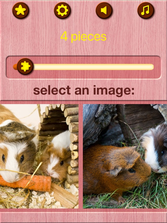 Guinea Pig Jigsaw Puzzle Games iPad screenshot 7 - Games app