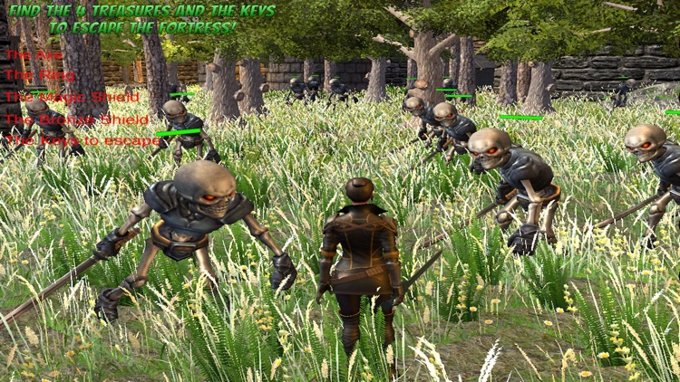 Galadhors Mystery screenshot-4