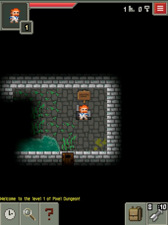 Pixel Dungeon на iPad