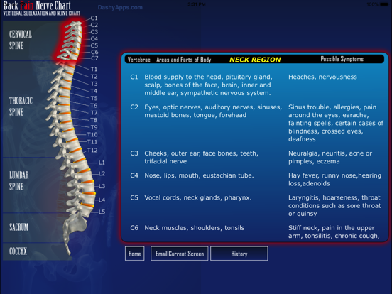 Chiropractic Nerve Chart