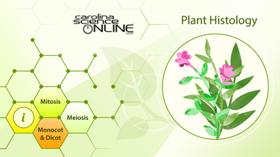Plant Histology HDのおすすめ画像1