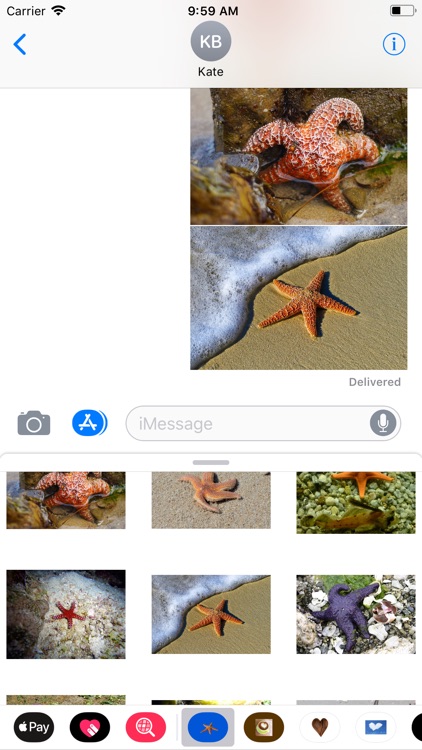 Starfish Sticker Pack screenshot-7