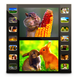 Photo Video - Photo Slideshow