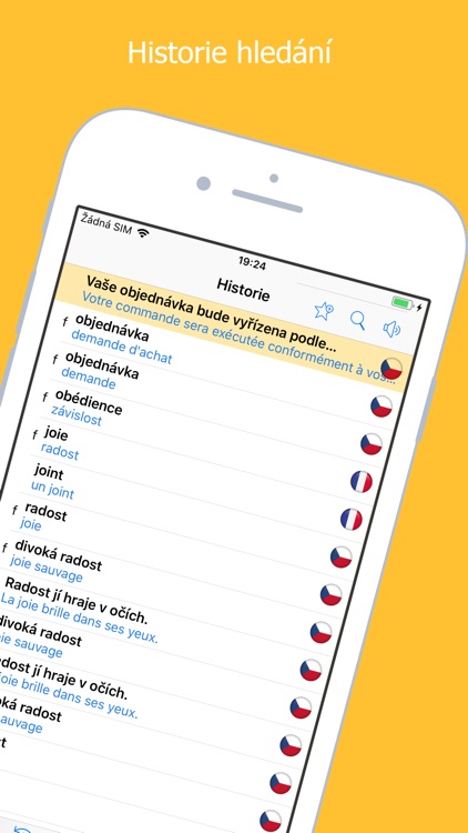 Francouzsko-český slovník screenshot-3