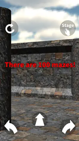 Game screenshot 3D Maze 100 Levels apk