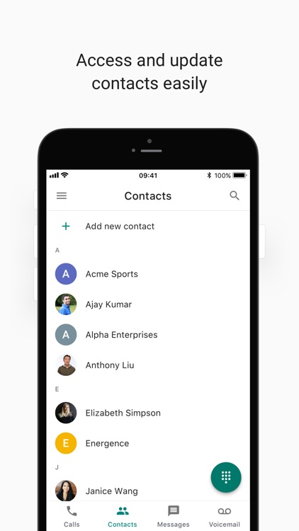 Google Voice screenshot-3