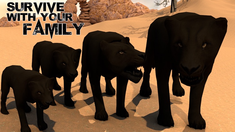 Virtual Panther Life Simulator screenshot-4