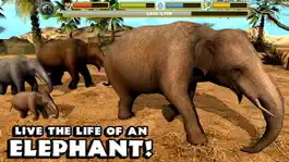 Game screenshot Elephant Simulator mod apk