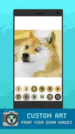 Game screenshot Pixel Color By Number hack