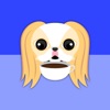 Blonde Lemon Japanese Chin