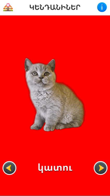 First 50 Words - Armenian Pro