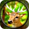 Forest Wild Animal - Hunting 3