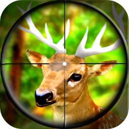 Forest Wild Animal - Hunting 3