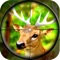 Forest Wild Animal - Hunting 3D is all about thrill & fun