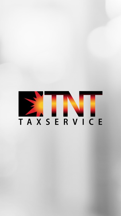 TNT TAX SERVICE