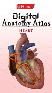 heart - digital anatomy problems & solutions and troubleshooting guide - 4