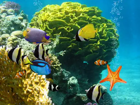 MyReef 3D Aquarium 2 HD