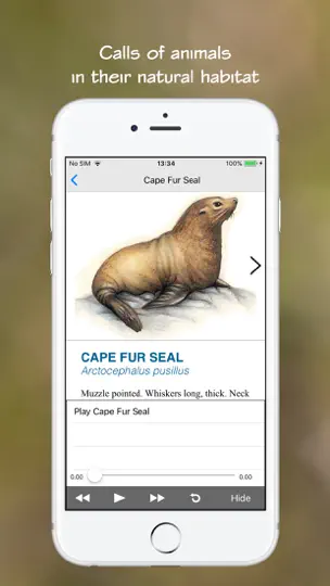 Screenshot von Wildlife Southern Africa auf dem iPhone 5