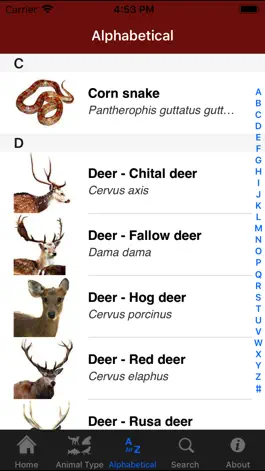 Game screenshot Field Guide to Pest Animals apk