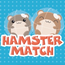 Activities of Hamster Match