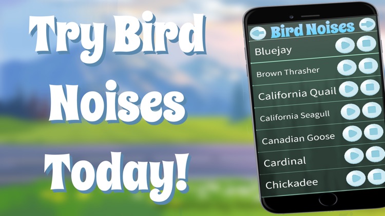 Bird Noises