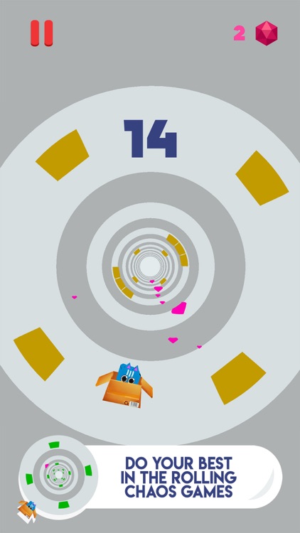 Rolly Polly Cat Vortex