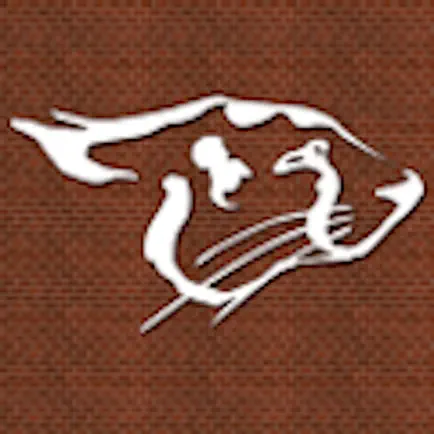 Cheetah Gym Читы