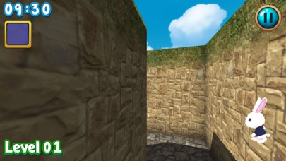Rabbit explore the 3D maze!! screenshot 4