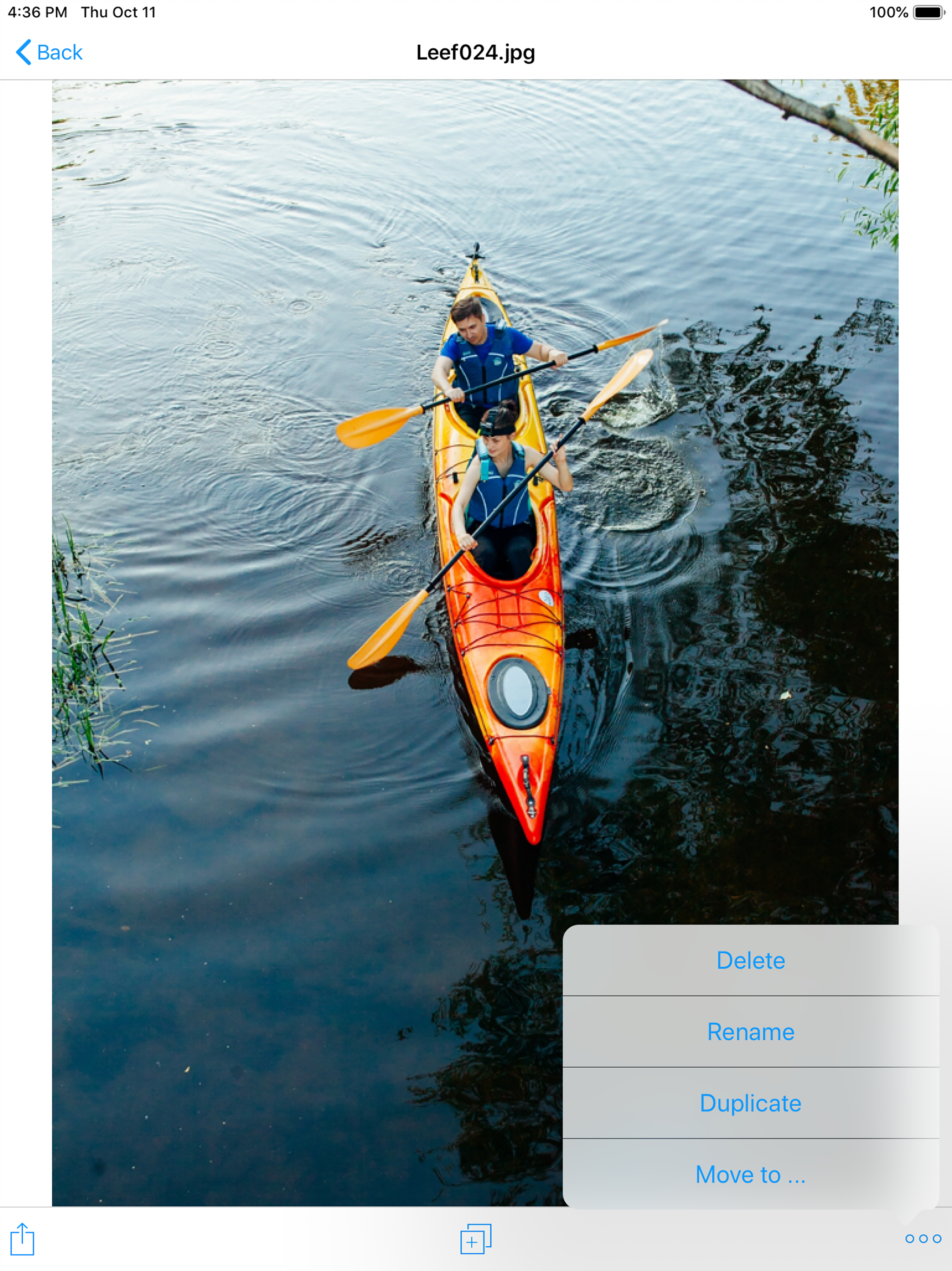 iBridge Air screenshot 10