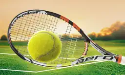 Tennis Pro Tournament app icon