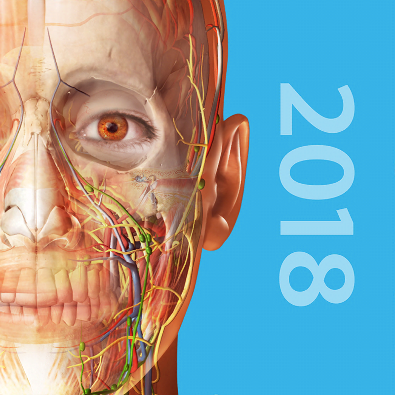 Atlas der Humananatomie 2018