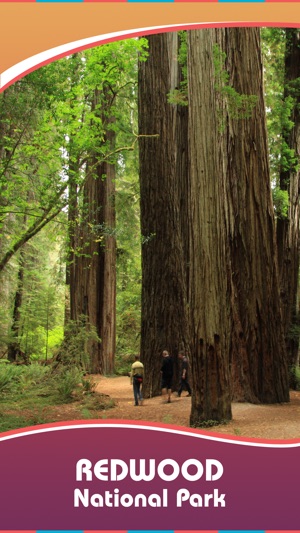 Visit Redwood National Park(圖1)-速報App