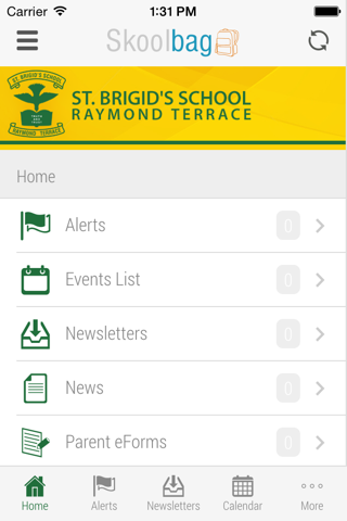 St Brigid's Parish School Raymond Terrace screenshot 2