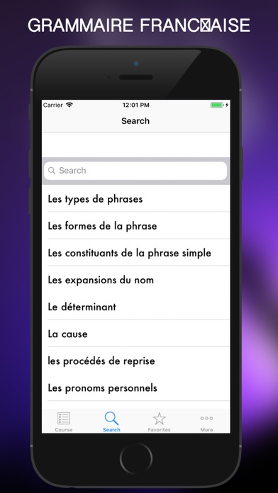Grammaire Française 2018 screenshot 2