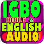 Igbo Bible App Problems