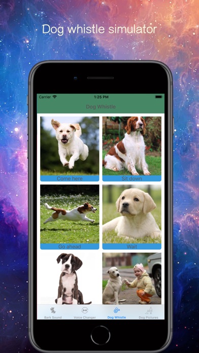 Screenshot #2 pour Bark Voice Changer